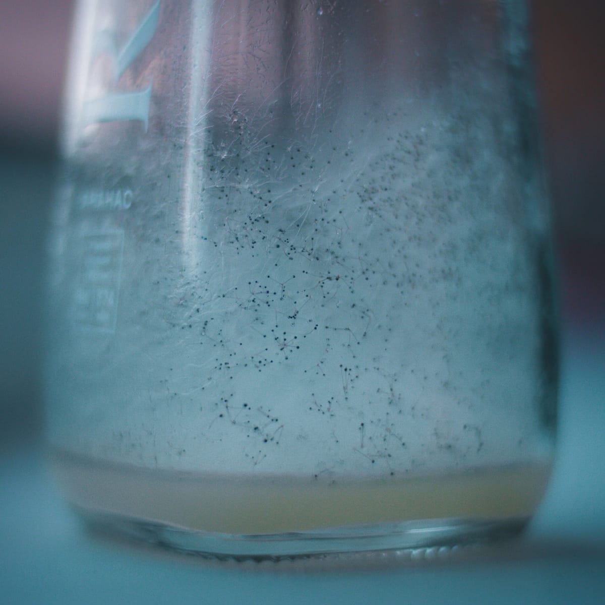 Sparkling water