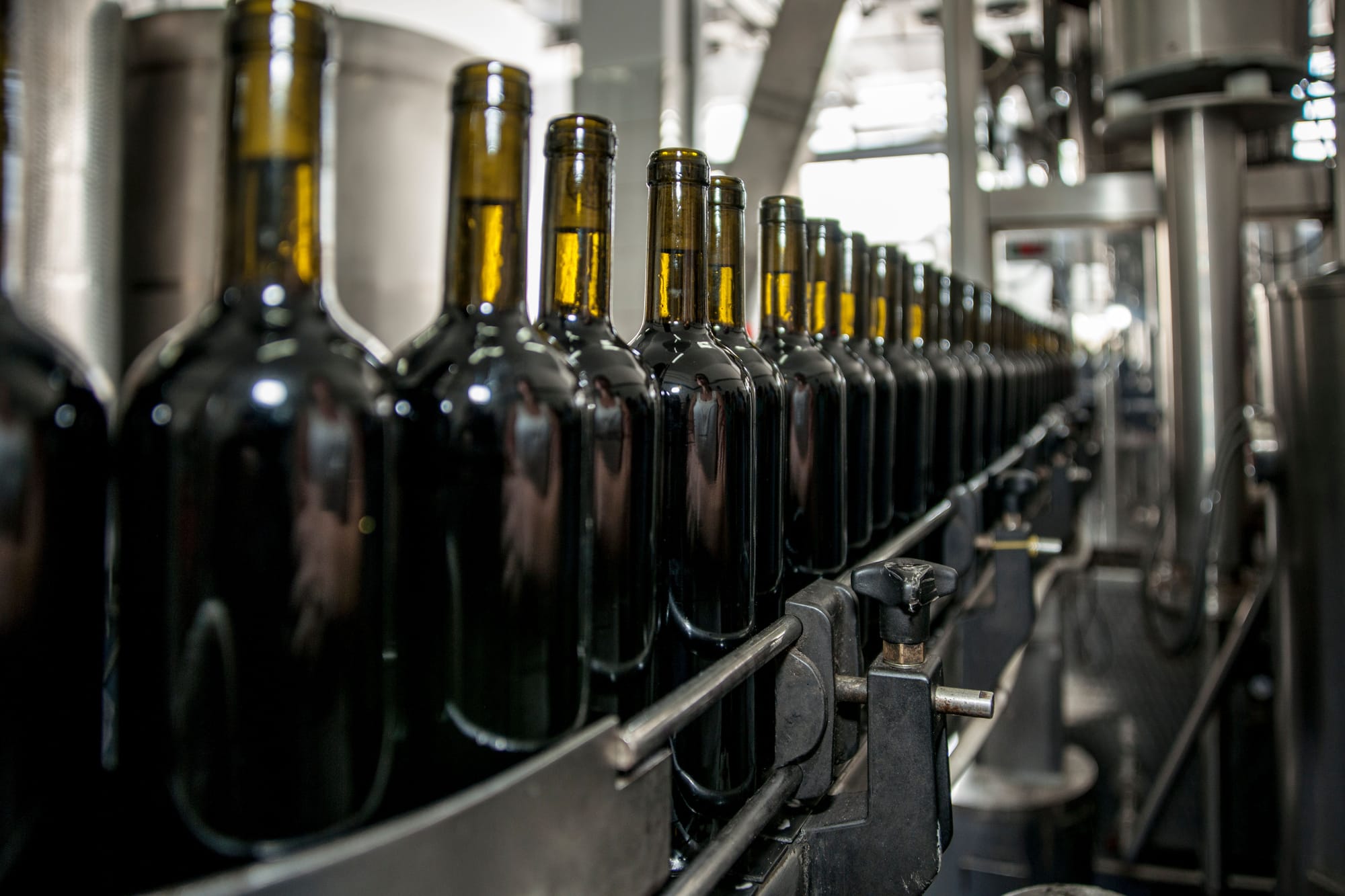 Bottle conveyor of a bottling line