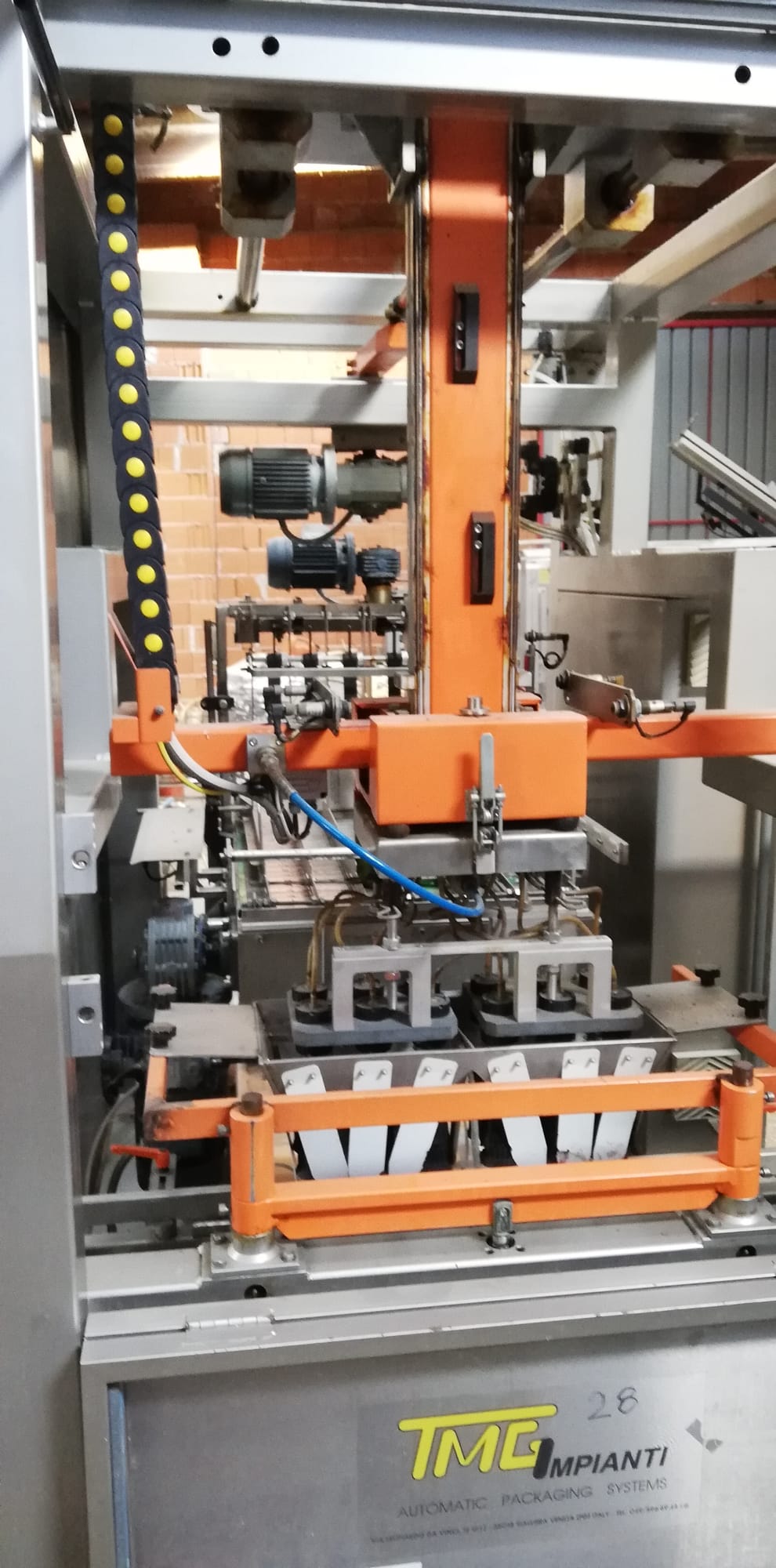 TMG case packer with mechanical axis motion